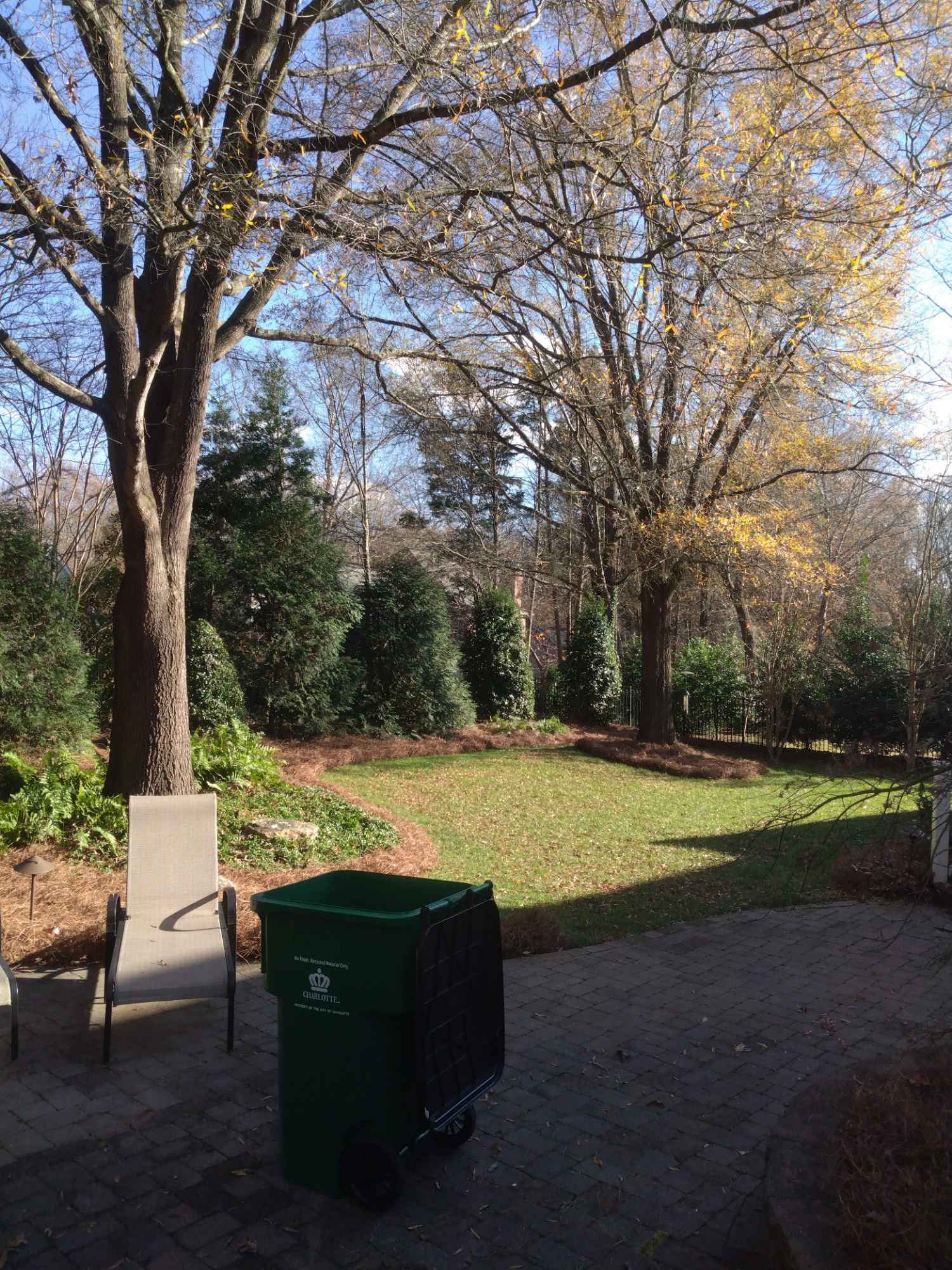 A serene backyard with a green lawn, surrounded by tall trees with yellowing leaves.