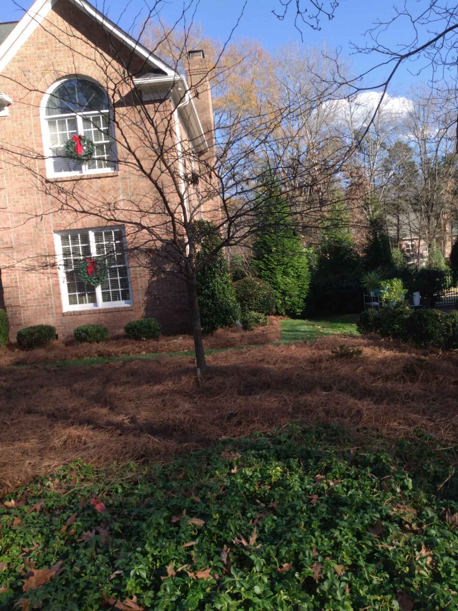 Brick house with arched windows, adorned with wreaths and red bows, surrounded by neatly trimmed hedges and vibrant green foliage under a clear blue sky.