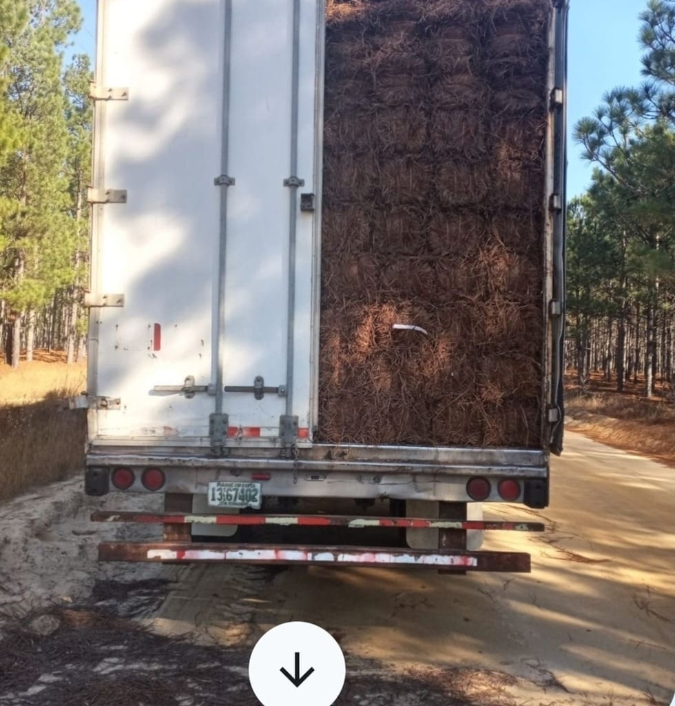 Truck loaded with pine straw rolls